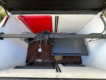 Heating a Tortoise House: The Right Options for Your Shelled Companion