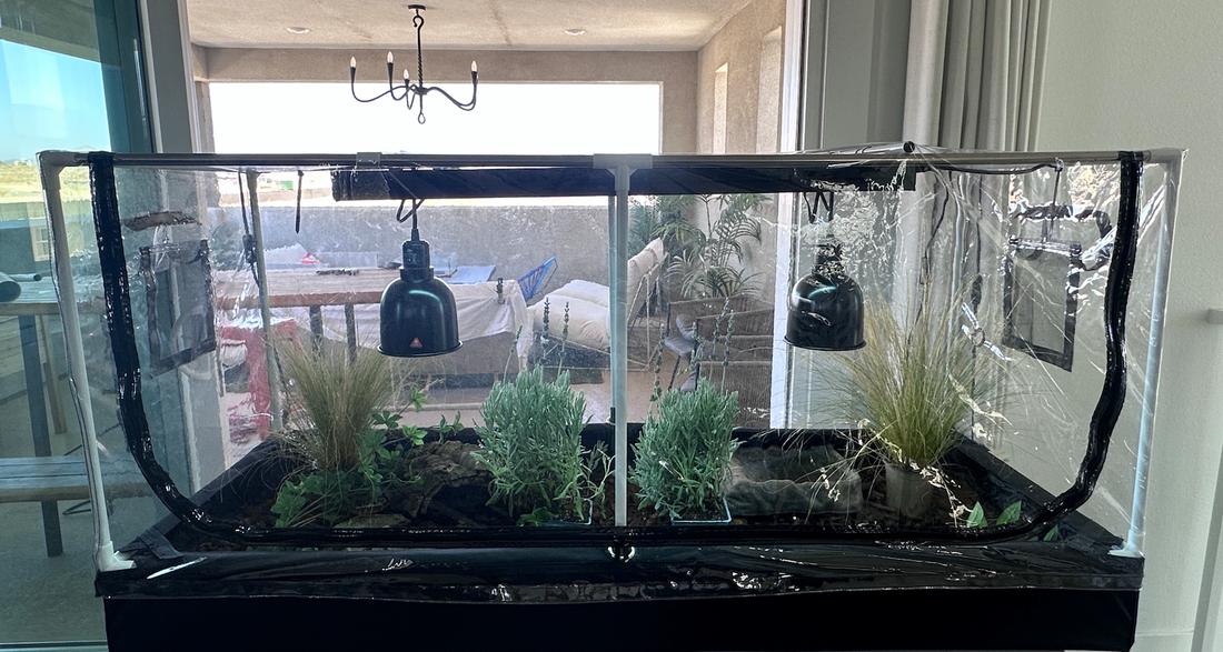 The Chamber